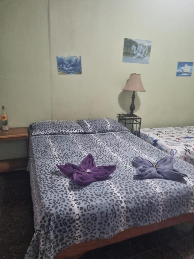 Hotel Paradise Alajuela Río Segundo Buitenkant foto